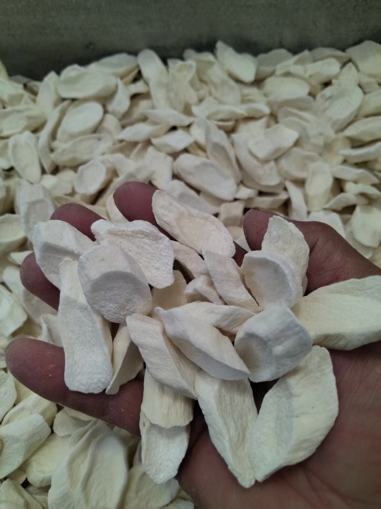 食用山药片手持展示